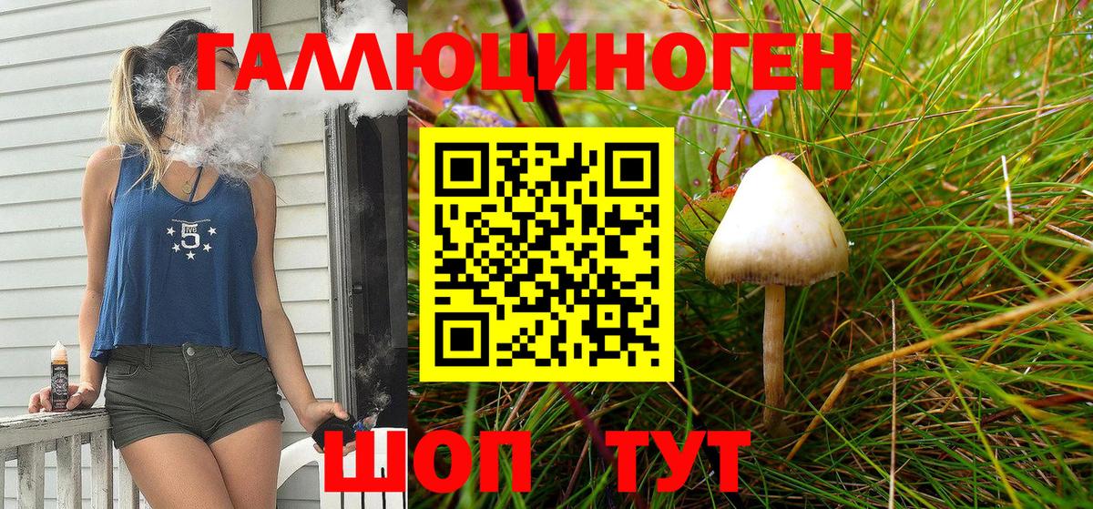 Галлюциногенные грибы прущие грибы  где продают   Вольск  Вход с VPN 